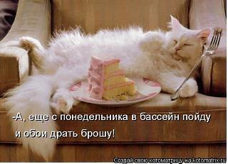 Повышатель настроения-kotomatrix_26.jpg