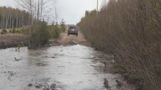вылазки по Ленинградской области, но на Кайроне-img_1853.jpg