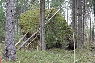вылазки по Ленинградской области, но на Кайроне-img_2083.jpg