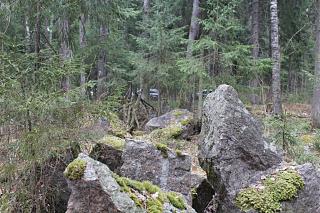 вылазки по Ленинградской области, но на Кайроне-img_2224.jpg