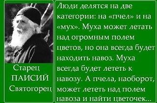Что посмотреть?-94444_600.jpg