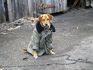 Повышатель настроения-9a8369d3fe3e.jpg