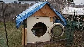 Повышатель настроения-lzl45v0o.jpg