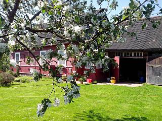 ДАЧА-img_20140524_112124.jpg