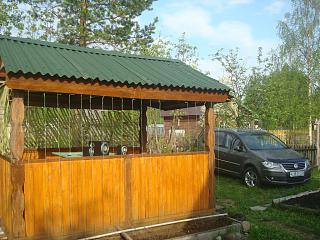 ДАЧА-dsc07351.jpg