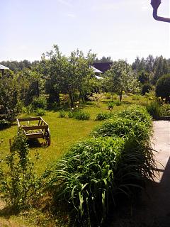 ДАЧА-img_20140601_132015.jpg