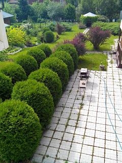 ДАЧА-img_20140531_102122.jpg