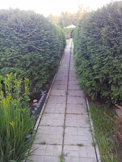 ДАЧА-img_20140531_212428.jpg