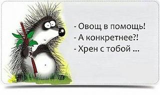 Афоризмы дня-getimage.jpg