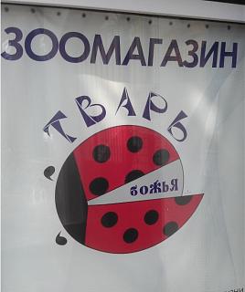 Повышатель настроения-5917860-r3l8t8d-550-6.png.jpg