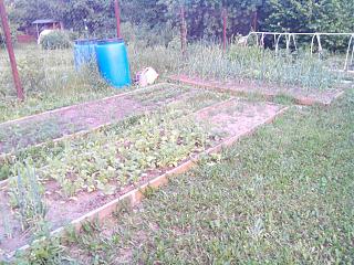 ДАЧА-img_20140606_203959.jpg