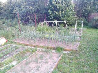 ДАЧА-img_20140606_204005.jpg