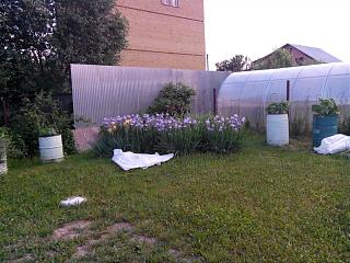 ДАЧА-img_20140606_204021.jpg