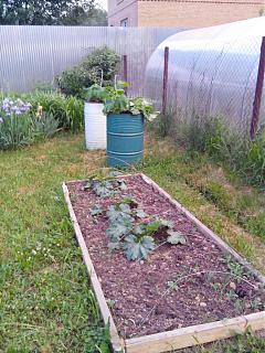 ДАЧА-img_20140606_212639.jpg