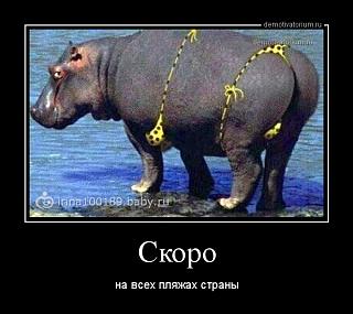 Повышатель настроения-plyazh-1.jpg