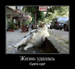 Братья наши меньшие-019.jpg