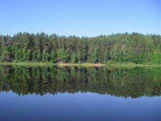 Красивые фотографии сделанные членами клуба-sapsho-06-2014-23-.jpg