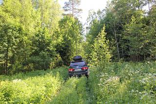 вылазки по Ленинградской области, но на Кайроне-img_2357.jpg