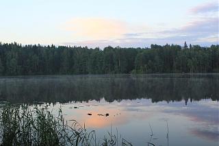 вылазки по Ленинградской области, но на Кайроне-img_2986.jpg