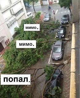 Пикчи на автомобильную тему-getimage.jpeg