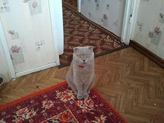 Братья наши меньшие-2014-01-13-12.56.20.jpg