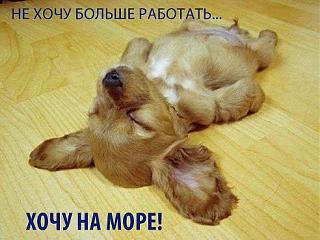 Повышатель настроения-image.jpg