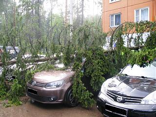 Красивые фотографии сделанные членами клуба-img_1032.jpg