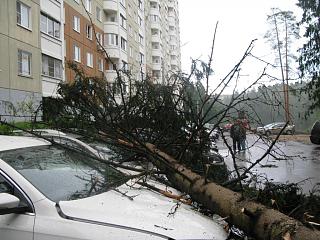 Красивые фотографии сделанные членами клуба-img_1055.jpg