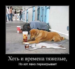 Повышатель настроения-jhiuh.jpg