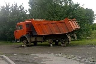 Повышатель настроения-3706625_9a658f2b.jpg