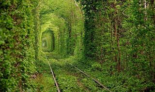 Просто интересно...-6950310-r3l8t8d-1000-nature-121206b.jpg