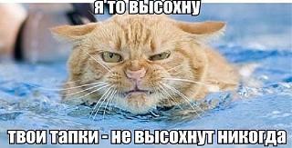 Повышатель настроения-aipxmrvme20.jpg