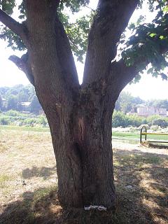 Красивые фотографии сделанные членами клуба-imgp2689.jpg
