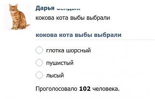 Пишем и говорим правильно-golosovalka.jpg