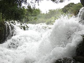 Красивые фотографии сделанные членами клуба-dscn7599.jpg
