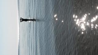 С.-Петербург - Эстония - Латвия.-20140801_102431.jpg