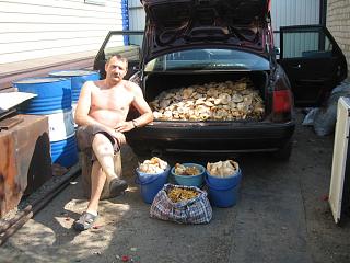 Что хорошего произошло за день?-img_5508.jpg