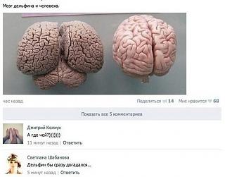 Повышатель настроения-image.jpg