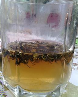 Повышатель настроения-img_20140816_195632.jpg