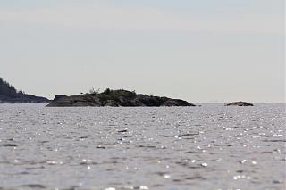 вылазки по Ленинградской области, но на Кайроне-img_3273.jpg