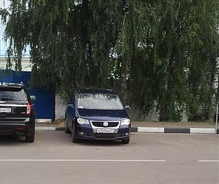 Встретил на дороге...-img_20140831_150708.jpg