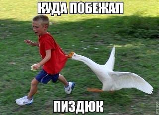 Повышатель настроения-image.jpg