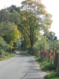 Красивые фотографии сделанные членами клуба-img_9092.jpg