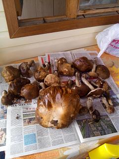 ДАЧА-img_20140913_113019.jpg