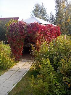 ДАЧА-img_20140913_171839.jpg