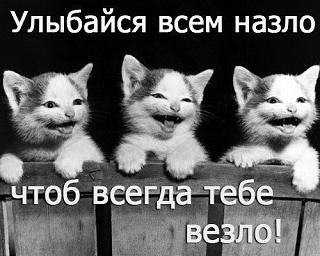 Повышатель настроения-d2tqka0vxqe.jpg
