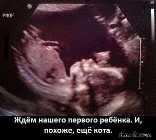 Повышатель настроения-bxvhus-ciaaqw-c.jpg