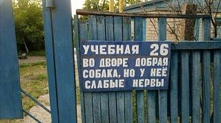 Повышатель настроения-az8jpamrzjc.jpg