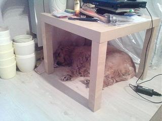 Что хорошего произошло за день?-img_20140922_181809.jpg
