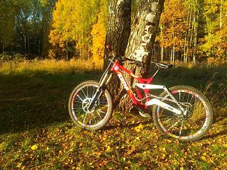 покупаем велосипед !-20141002_174914.jpg